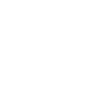 Buerstenmanufaktur Icon