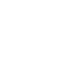 Icon Modellbau