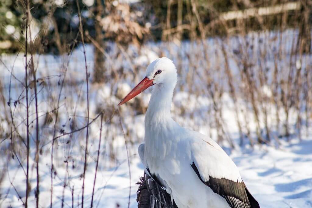 Tierpark